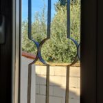 IMG_20231203_113811